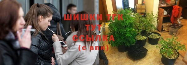 твердый Алагир