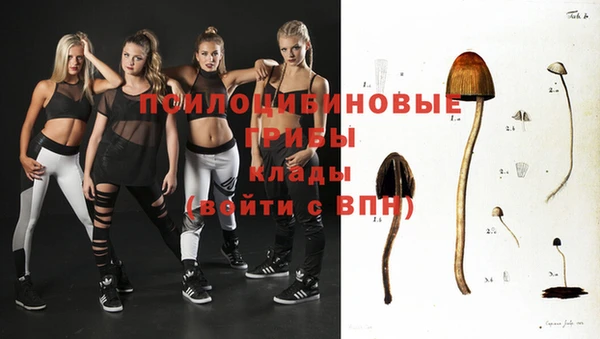 PSILOCYBIN Абинск