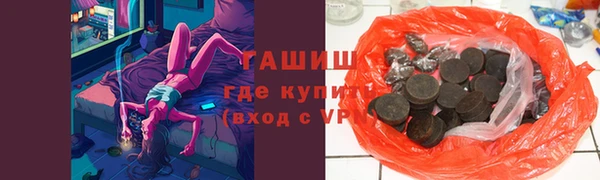 гашик Алексин