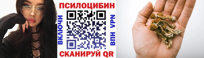 Галлюциногенные грибы прущие грибы  Шилка 