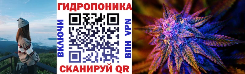 где найти наркотики  Шилка  Конопля White Widow 
